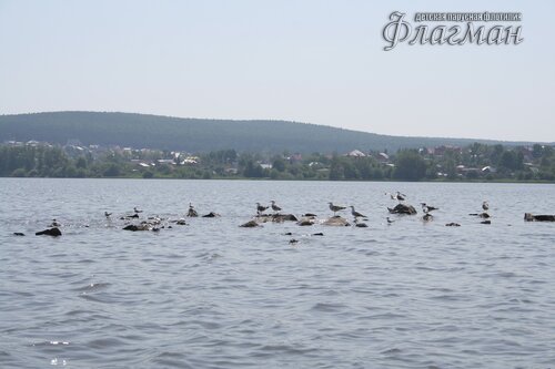 img_9687_r